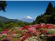 小田急 山のホテル
