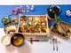 SNOW PEAK GLAMPING TOKUSHIMA KOMATSUSHIMA ][g
