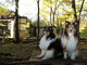 DOGSPARESORTアルトピアーノ