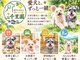ゆのごう 柚子の宿 千里園