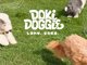 Doki Doggie 城ヶ島遊ヶ崎BASE