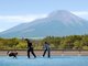 わんわんパラダイス プレミア 山中湖