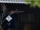 Th-NOYADO-