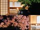 今昔荘 大阪 天保山 ‐観桜・松柏‐