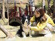 艜withDOGS