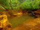 松之山温泉 和泉屋