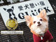 愛犬憩い宿GLUCK 伊豆高原
