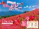 秩父長瀞 満天の星と雲海の宿 いこいの村ヘリテイジ美の山