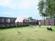 ܂̂ Glamping with Dog