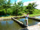 �c�[���X�g ���T�a