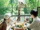 THE BAMBOO FOREST