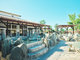 THE TRAILERHOUSE VILLAGE 大牟田 SPA