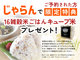 THE@TRAILERHOUSE@VILLAGE@喴c@SPA