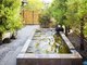 ƕʓ@garden