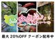 ��쉷��@�吳��