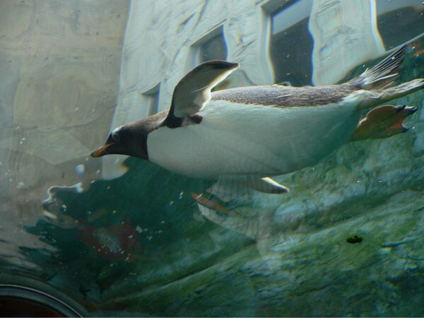 ���R������