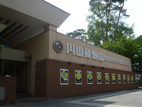 �~�R������