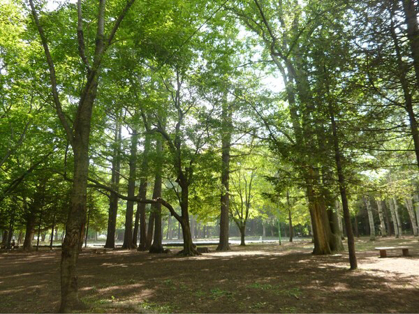 �~�R����