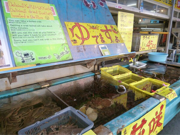 ���������s���O�s��