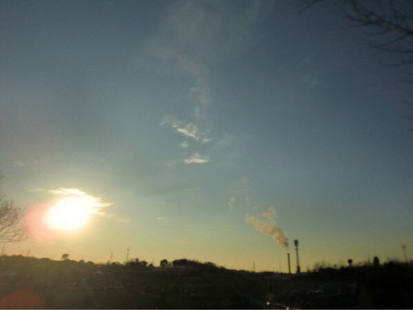 �䥗΂̃~���[�W�A�� �n�[�x�X�g�̋u