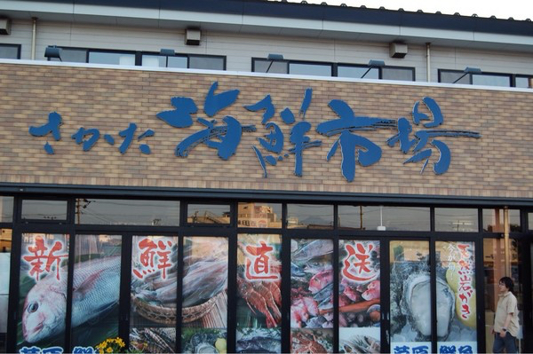 �������C�N�s��