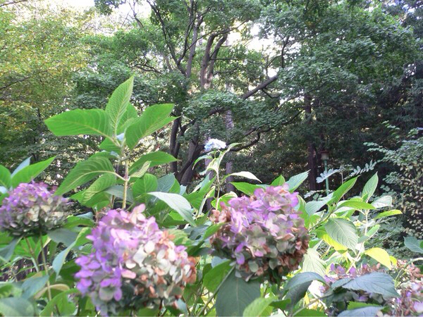 �~�R����