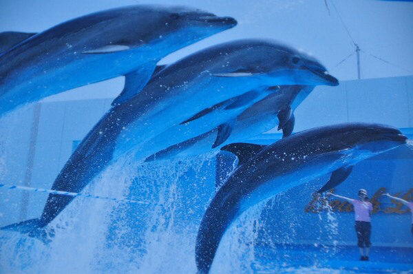 ��m���r�[�`�����h&��m���������ቤ��