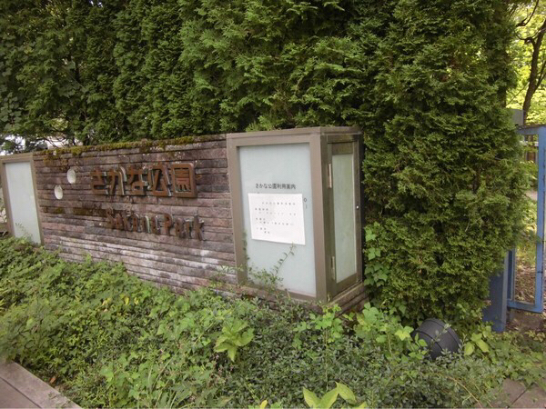 �����Ȍ���