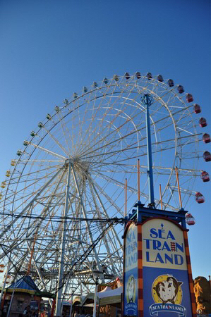 ���É��`�V�[�g���C�������h