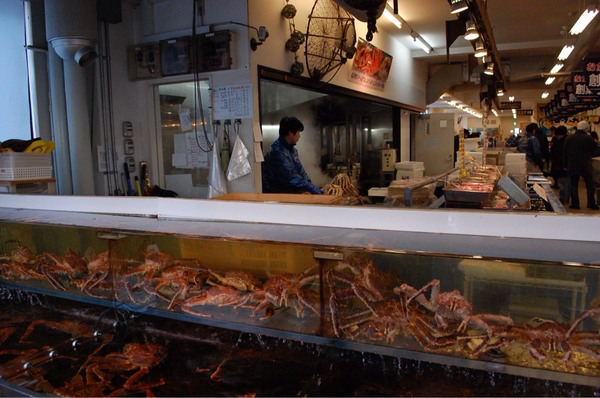 ���������s���O�s��