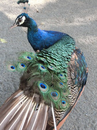 �~�R������