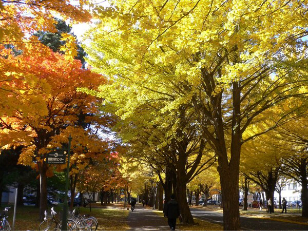 �k��C�`���E����