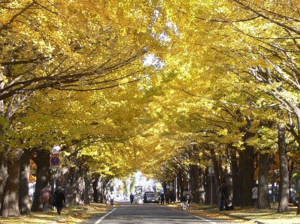 �k��C�`���E����