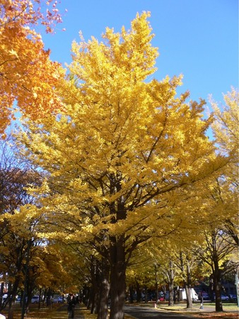 �k��C�`���E����