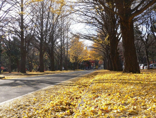 �k��C�`���E����