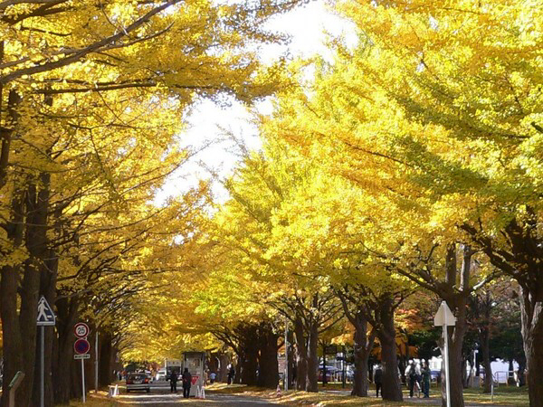 �k��C�`���E����