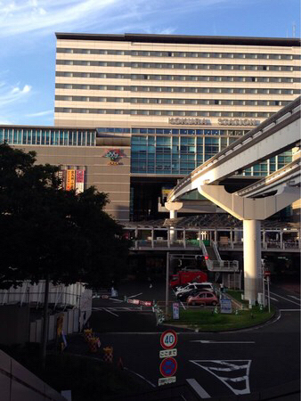 �A�~���v���U���q