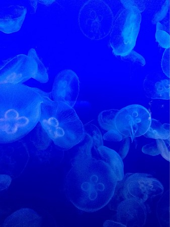 �V�]�m��������