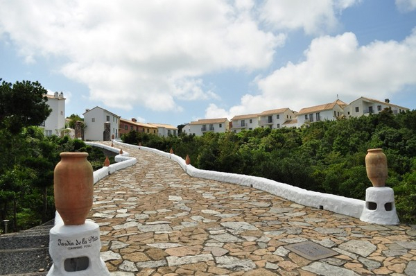 �u���n���C��