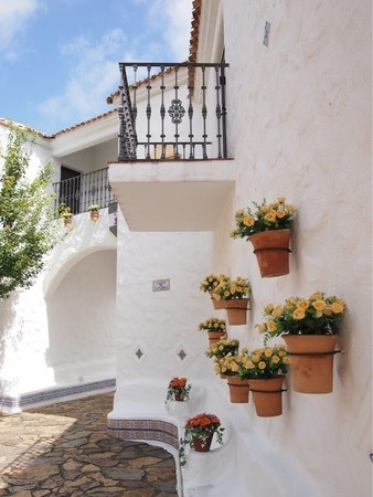 �u���n���C��