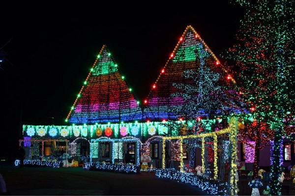 �����h�C�c��