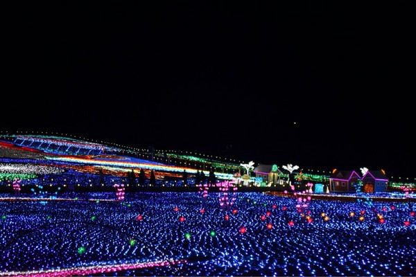 �����h�C�c��