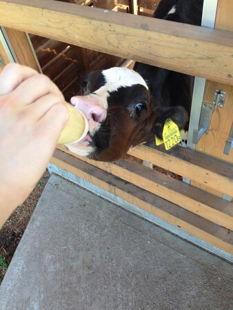 �ɍ��ۃO���[���q��