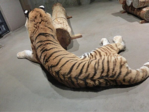 �~�R������