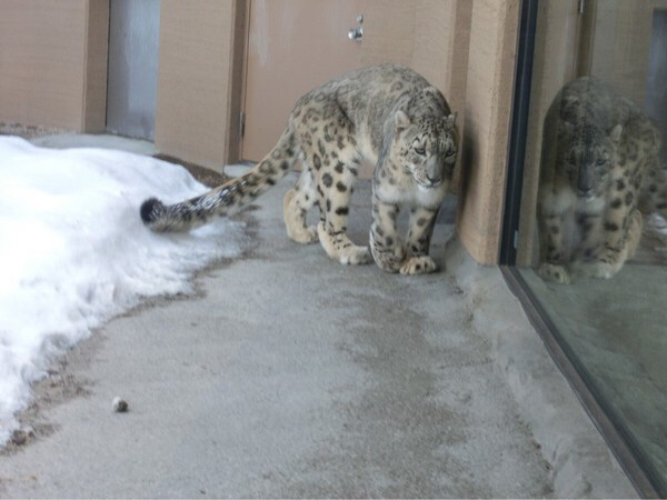 �~�R������