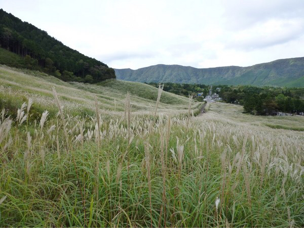 ��Ό�����