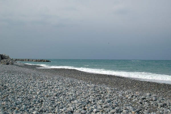 �q�X�C�C��