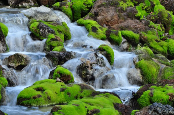 �`���c�{�~�S�P����