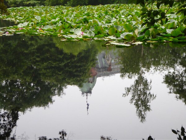 �k�C�������{����(�Ԃ�񂪒���)