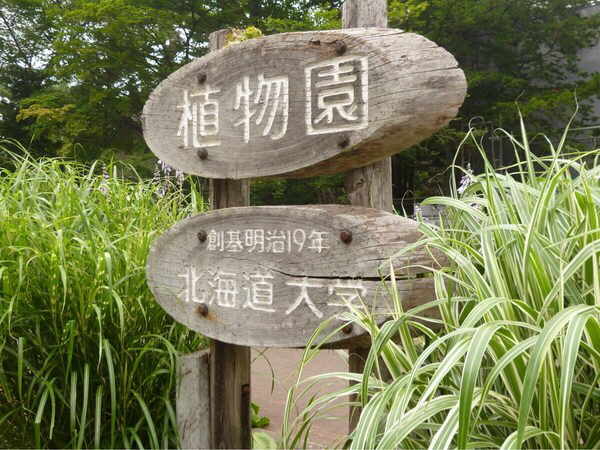 �k�C����w�A����